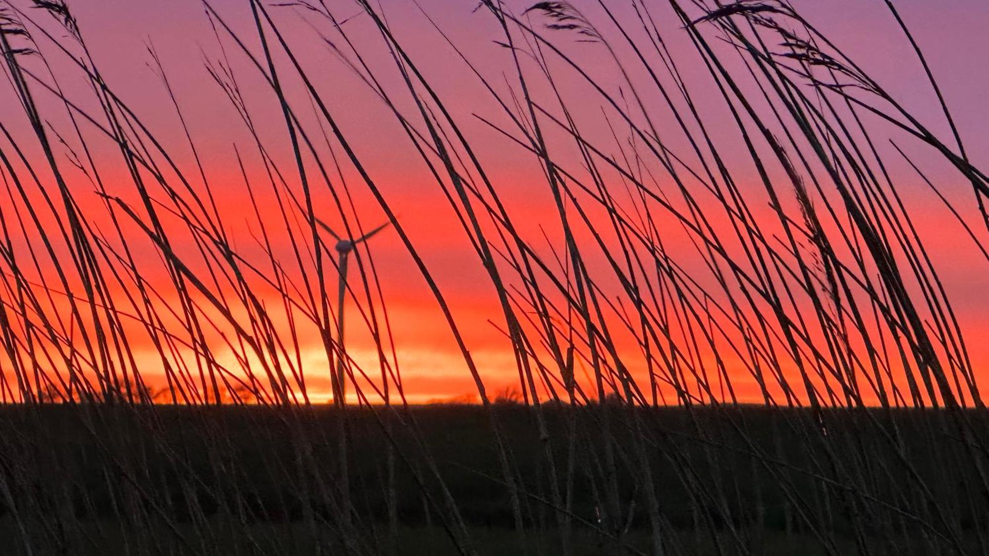 Appartamento Heel Wat Besuenners Krummhörn Esterno foto